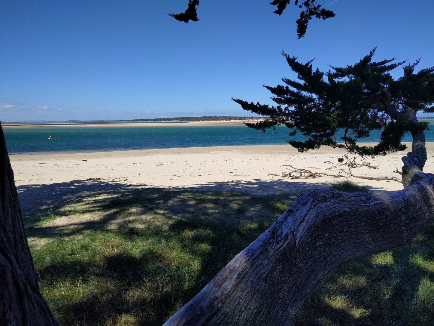 Driftwood All Wood Rings Wedding Bands GrownRings Driftwood, Handmade, mens wedding band, wooden ring men, wooden engagement ring, wooden wedding ring, wooden wedding band, Driftwood Ring, Sailing ring, Destination wedding, alternative wedding