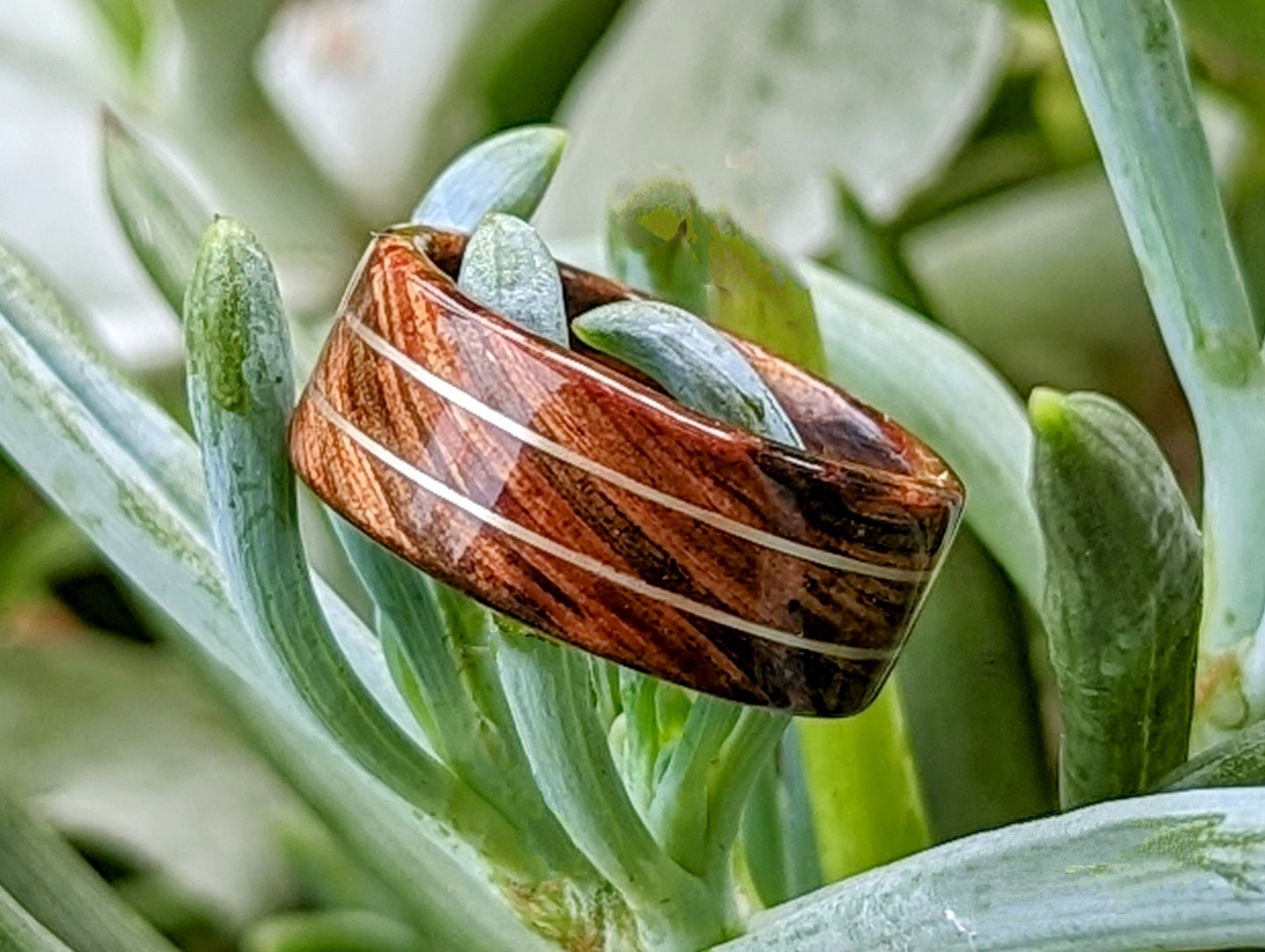 Tasmanian Blackwood Twin Sterling Silver wire inlays All Wood Rings Wedding Bands GrownRings wood, wooden, tasmanian blackwood, love, handmade, silver, gold, platinum, reclaimed, recycled, repurposed
