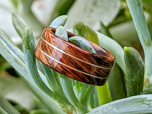 Tasmanian Blackwood Twin Sterling Silver wire inlays All Wood Rings Wedding Bands GrownRings wood, wooden, tasmanian blackwood, love, handmade, silver, gold, platinum, reclaimed, recycled, repurposed