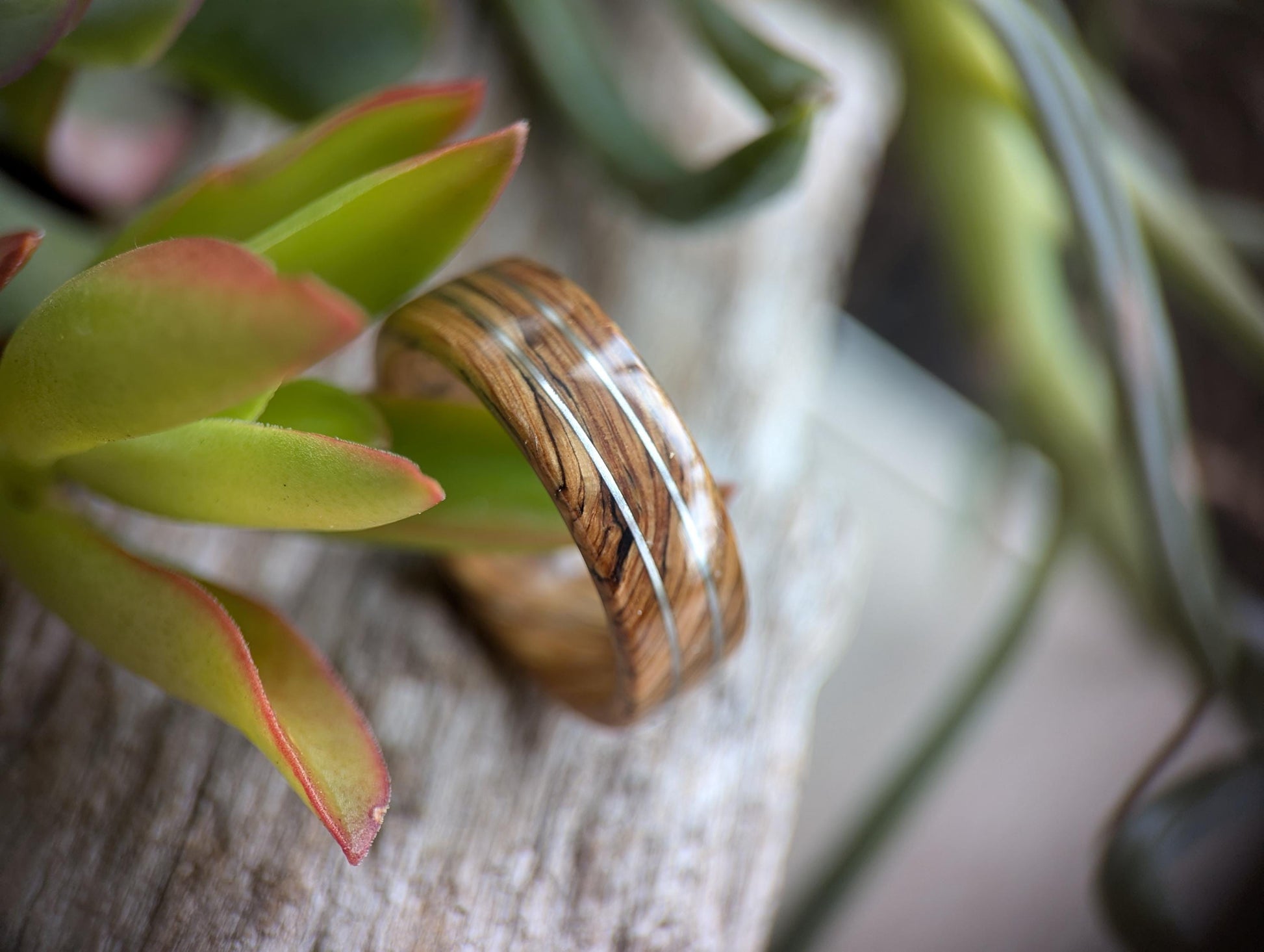 Grown Rings Jameson Whiskey Barrel Spiral Grain Ring with Twin Platinum Wire Inlays Wooden Wedding Band